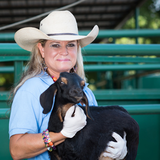 Sheri Turner holding a black and brown goat with white gloves next to green gates at Morrilton Veterinary Clinic in Morrilton, AR