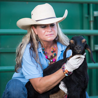 Sheri Turner taking care of a black and brown goat in at Morrilton Veterinary Clinic in Morrilton, AR