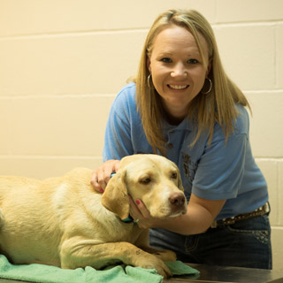 Stephanie Jackson, CVT, at Morrilton Veterinary Clinic holding the head of a golden Labrador in Morrilton, AR  