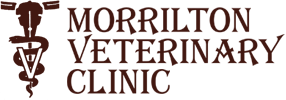 Morrilton Veterinary Clinic