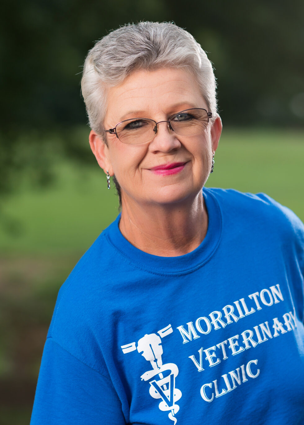 Veterinarian & Laser Surgery in Morrilton, AR Morrilton Veterinary Clinic