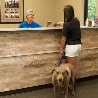 Glenda Church passing paperwork over to a client with a brown dog at Morrilton Veterinary Clinic in Morrilton, AR